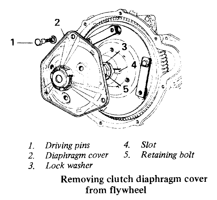 diaphout