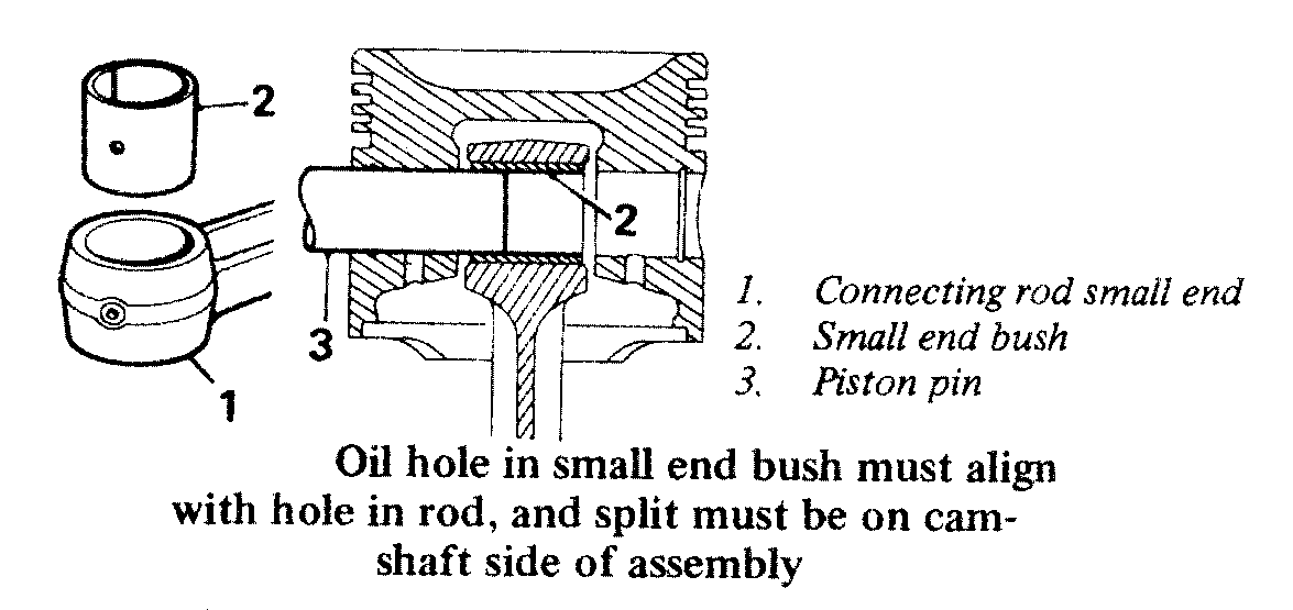 sendbush